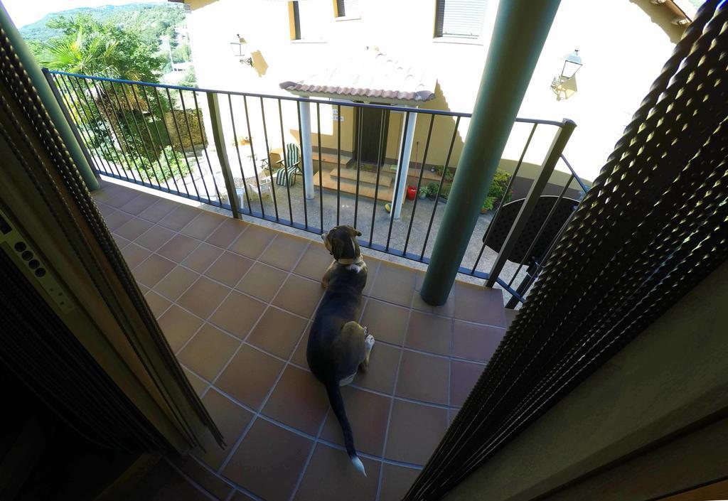 Graeras En Apartment